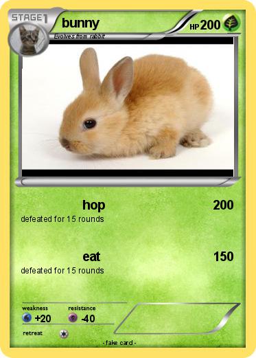 Pokemon bunny