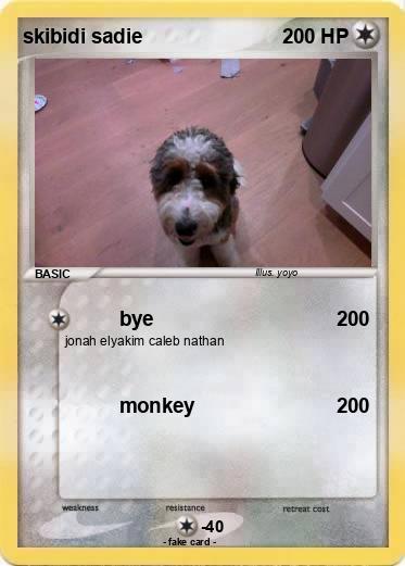 Pokemon skibidi sadie