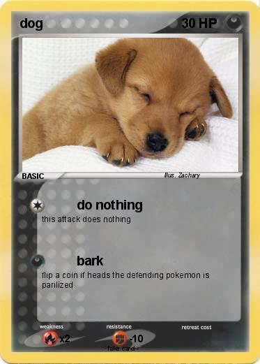 Pokemon dog