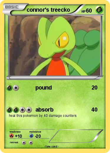 Pokemon connor's treecko