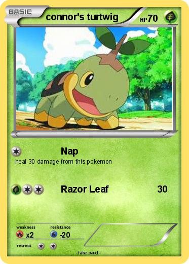 Pokemon connor's turtwig