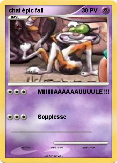 Pokemon chat épic fail