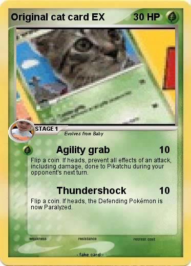 Pokemon Original cat card EX