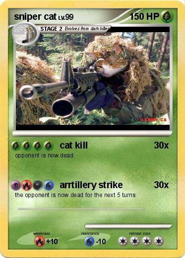 Pokemon sniper cat