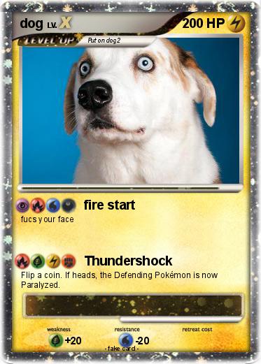 Pokemon dog