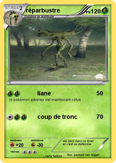 Pokemon réparbustre