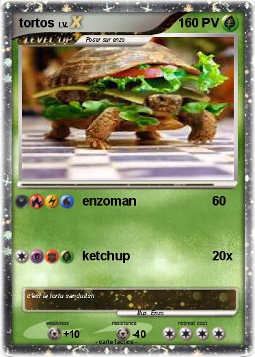 Pokemon tortos