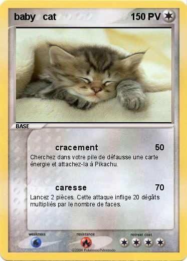 Pokemon baby   cat