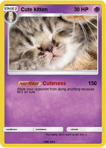 Pokemon Cute kitten