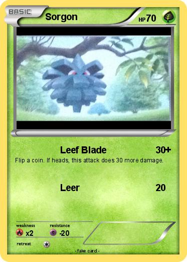 Pokemon Sorgon