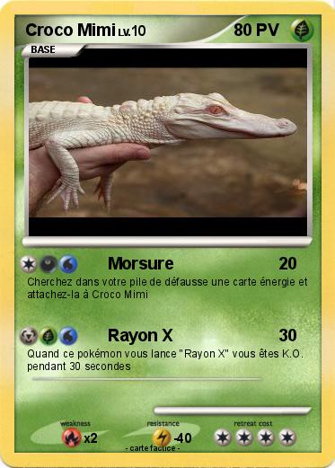 Pokemon Croco Mimi