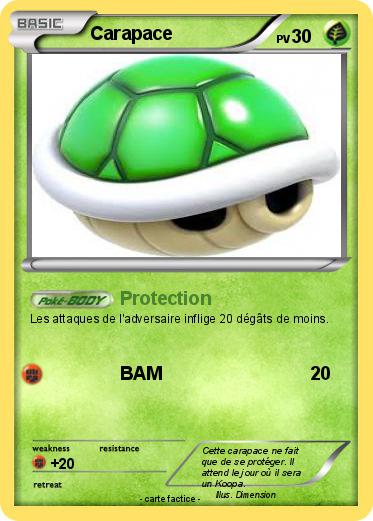 Pokemon Carapace