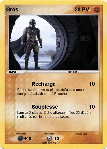 Pokemon Gros