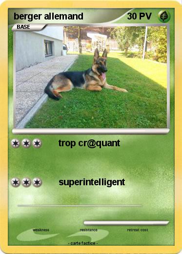 Pokemon berger allemand