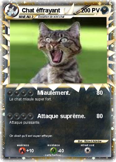 Pokemon Chat éffrayant