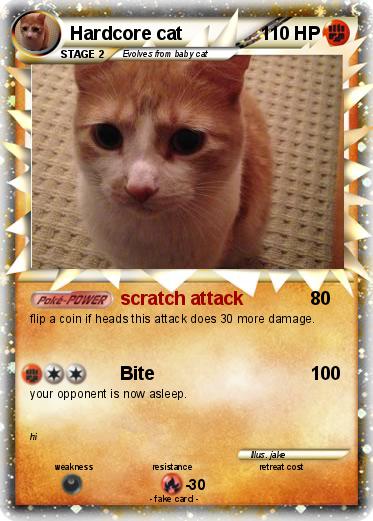 Pokemon Hardcore cat