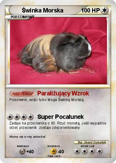 Pokemon Świnka Morska