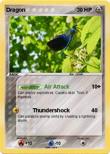 Pokemon Dragon