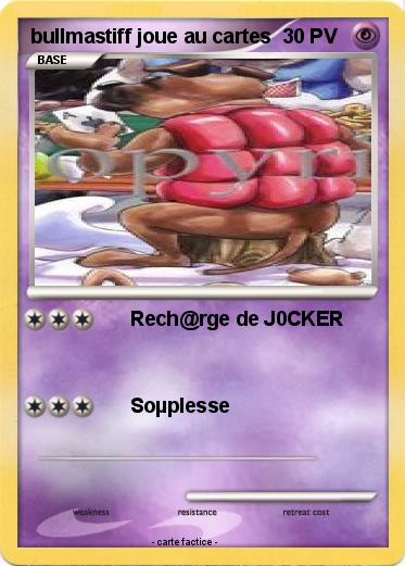 Pokemon bullmastiff joue au cartes