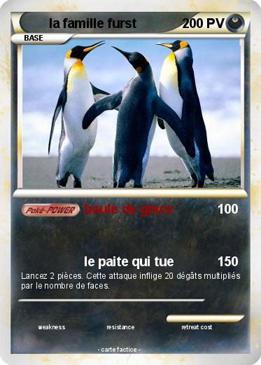 Pokemon la famille furst