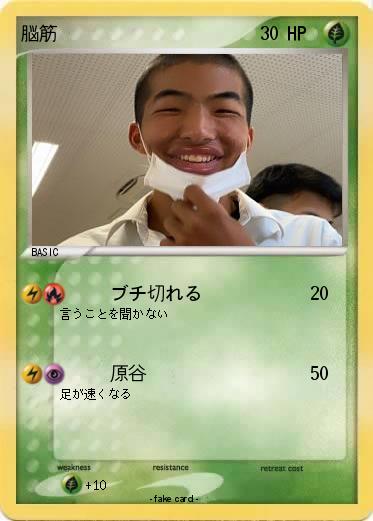 Pokemon 脳筋