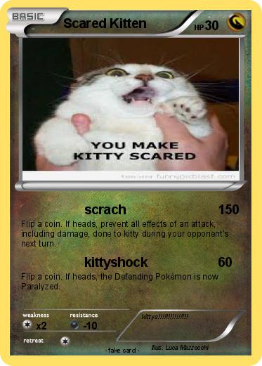 Pokemon Scared Kitten
