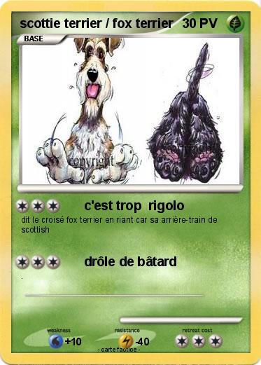 Pokemon scottie terrier / fox terrier
