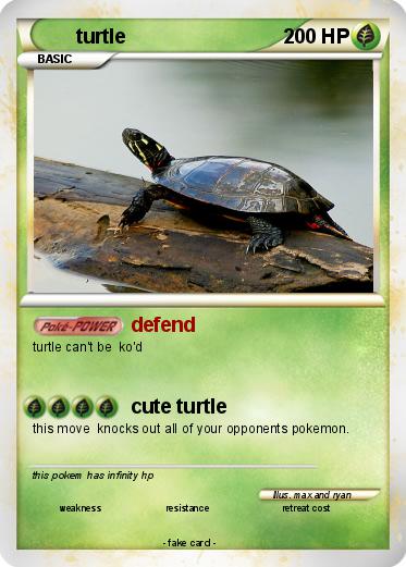 Pokemon turtle