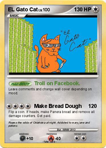 Pokemon EL Gato Cat