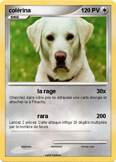 Pokemon colèrina