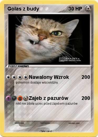 Pokemon Golas z budy
