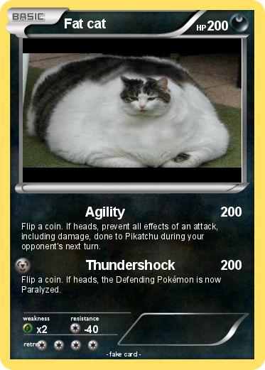 Pokemon Fat cat