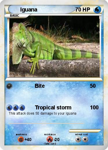 Pokemon Iguana