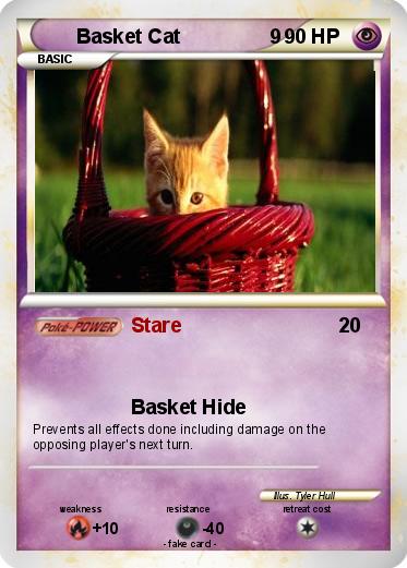 Pokemon Basket Cat                9