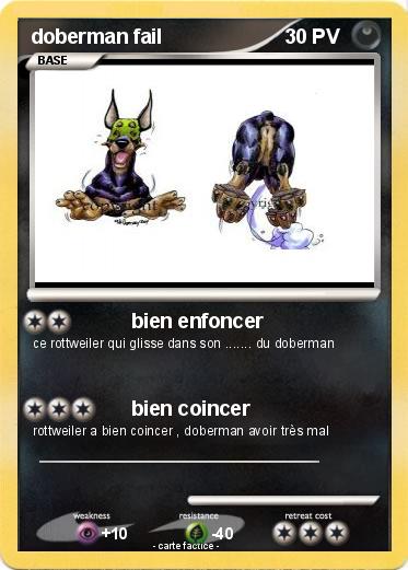 Pokemon doberman fail