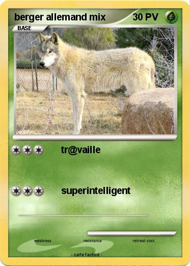 Pokemon berger allemand mix