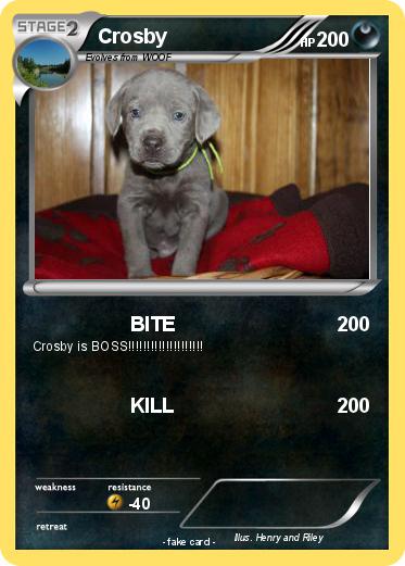 Pokemon Crosby
