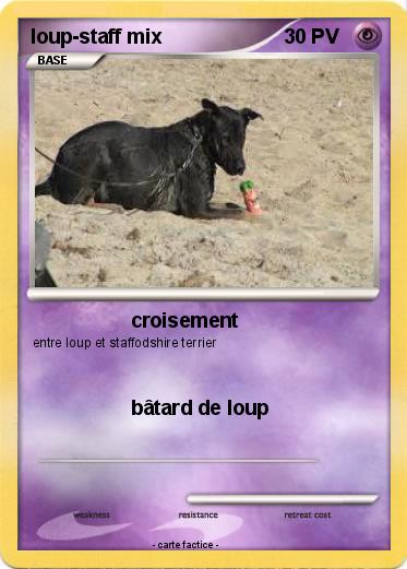 Pokemon loup-staff mix