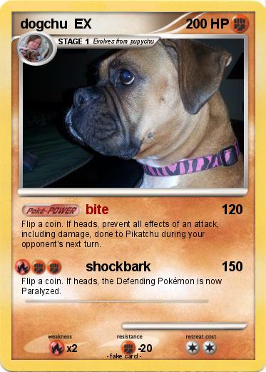 Pokemon dogchu  EX