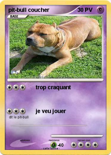 Pokemon pit-bull coucher