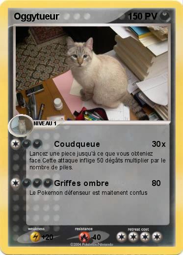 Pokemon Oggytueur