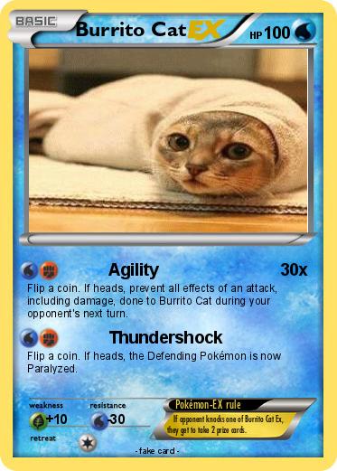 Pokemon Burrito Cat
