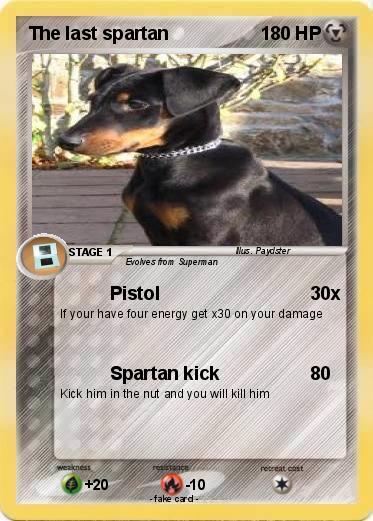 Pokemon The last spartan