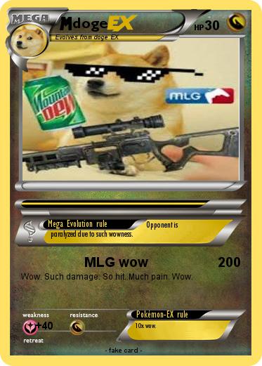 Pokemon doge