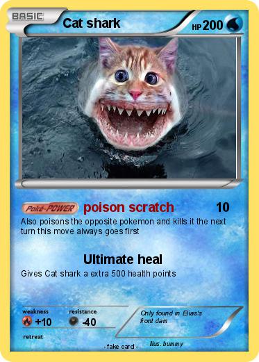 Pokemon Cat shark