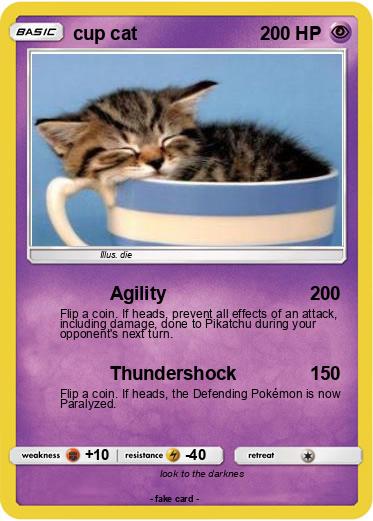 Pokemon cup cat