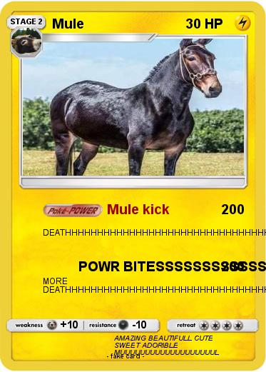 Pokemon Mule