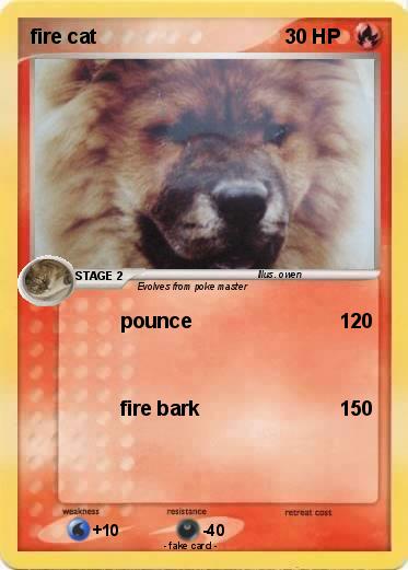 Pokemon fire cat