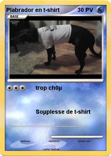 Pokemon Plabrador en t-shirt