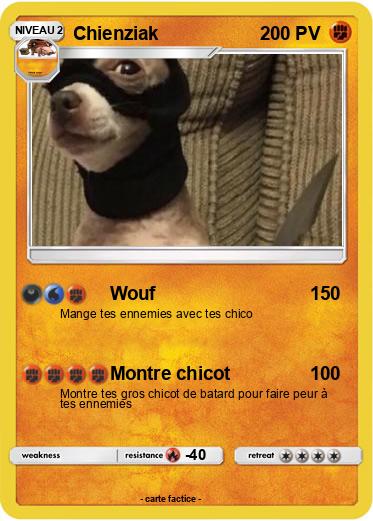 Pokemon Chienziak